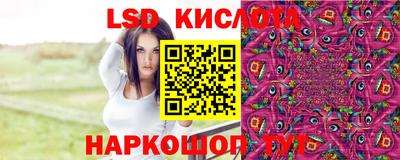 наркотики Сланцы