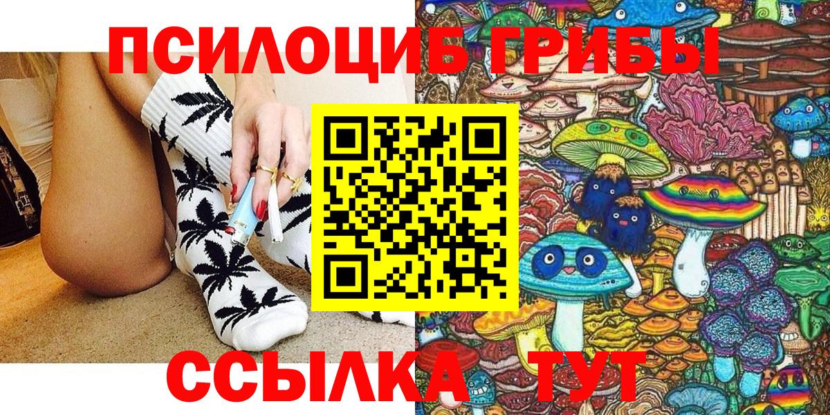 Псилоцибиновые грибы Psilocybine cubensis  Вход с VPN  Подольск 